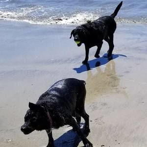 Meet your Posher, Becky